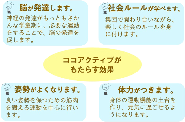 ココアクティブがもたらす効果